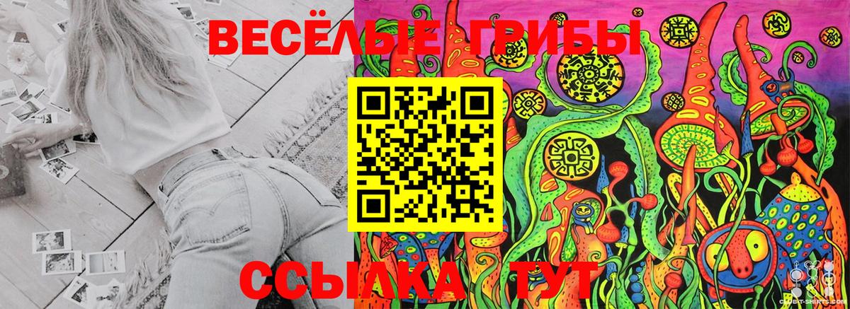 Галлюциногенные грибы ЛСД Борзя